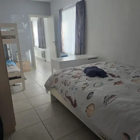 Zeepaardje * Blankenberge