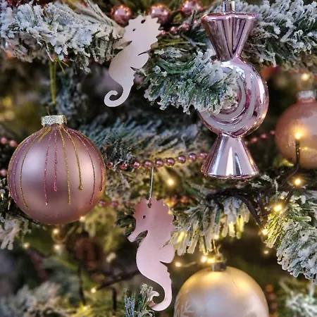 Apartmán Zeepaardje