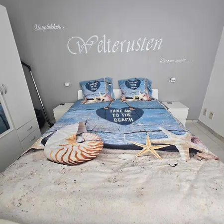 Zeepaardje Blankenberge