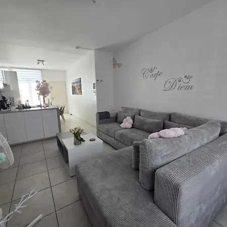 Zeepaardje Blankenberge