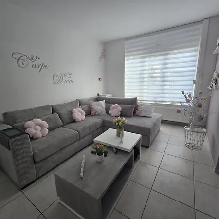 Apartment Zeepaardje Blankenberge