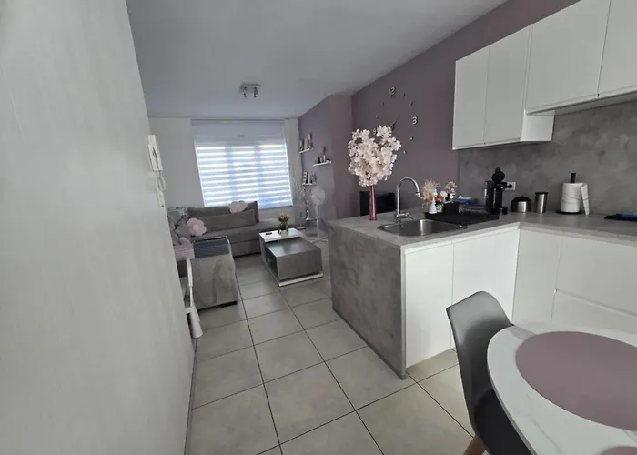 Apartment Zeepaardje Blankenberge