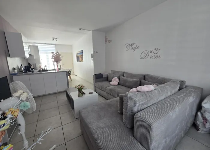 Zeepaardje Blankenberge